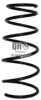 JP GROUP 4842202709 Coil Spring